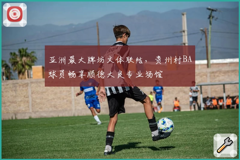 亚洲最大牌坊文体联结,贵州村BA球员畅享顺德大良专业场馆