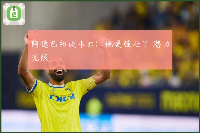 阿德巴约谈韦尔：他更强壮了 潜力无限